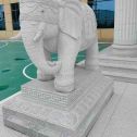 抚顺 白麻花岗岩动物异形石雕-大象