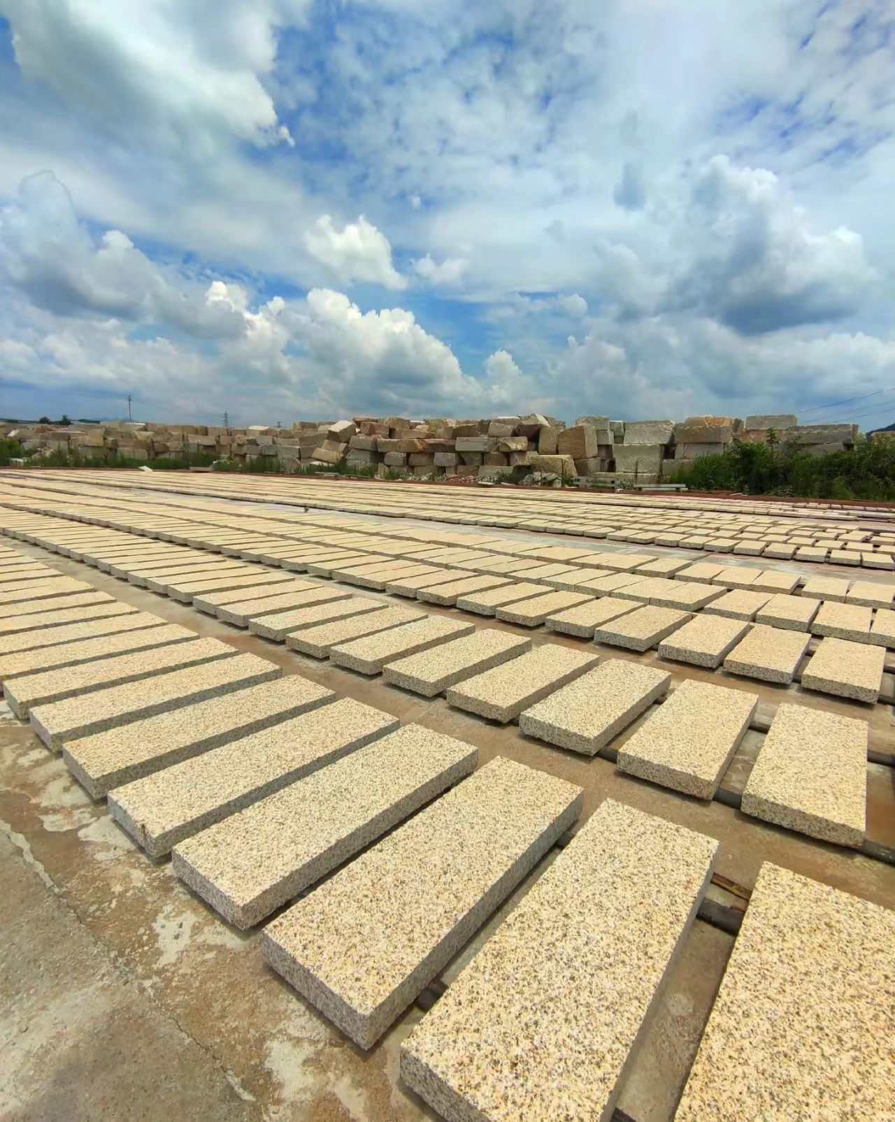 抚顺 黄金麻花岗岩荔枝面地铺石防护中